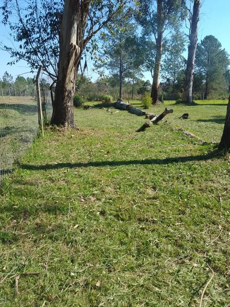 Lotes ideales para proyectos ecosustentables