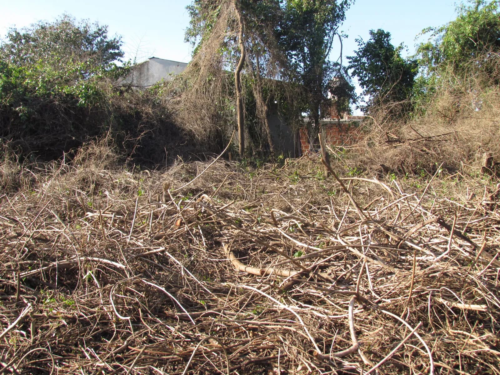 Lotes en Garupa a 200 mts del Rio y Acceso Sur