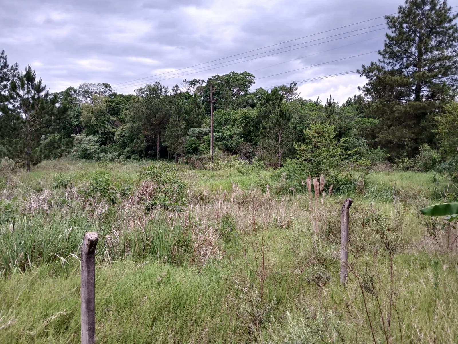 Lote sobre Ruta Nacional Nº 12 en Gobernador Roca, Misiones