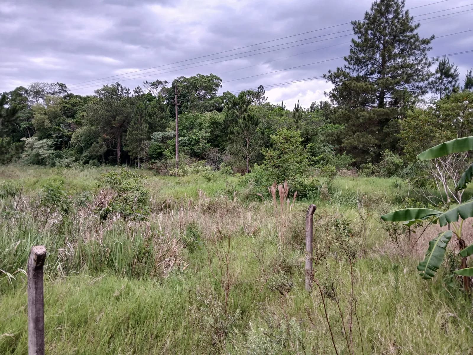 Lote sobre Ruta Nacional Nº 12 en Gobernador Roca, Misiones