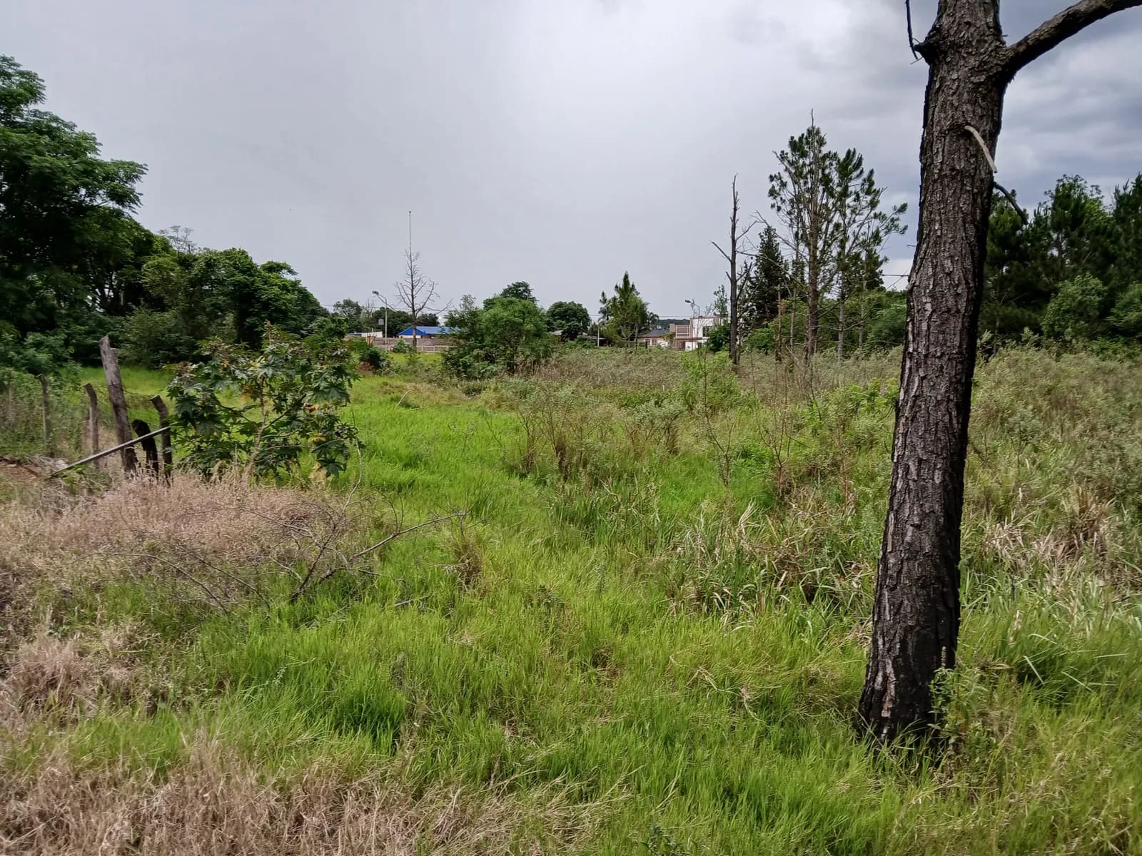 Lote sobre Ruta Nacional Nº 12 en Gobernador Roca, Misiones
