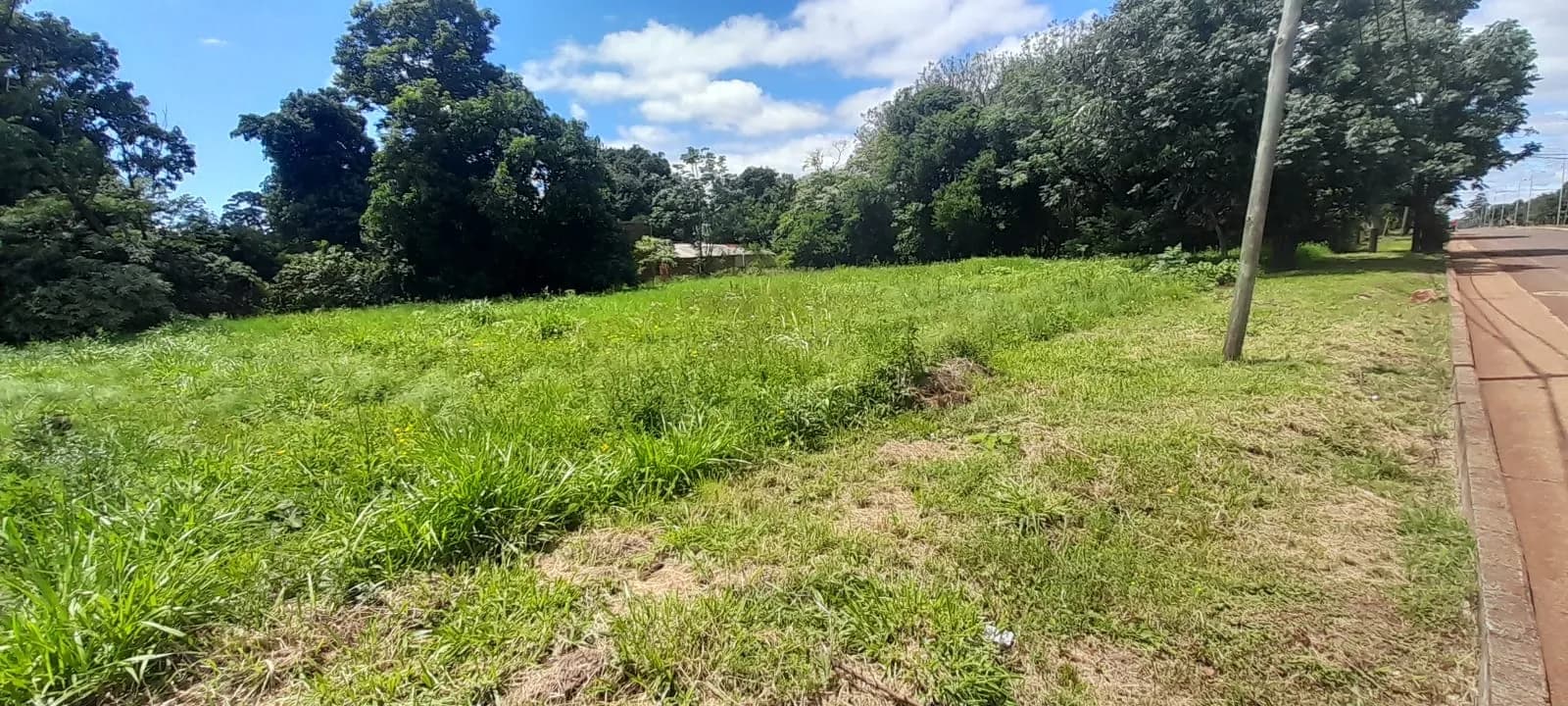 Terrenos sobre Avenida Figueredo barrio Aero Club