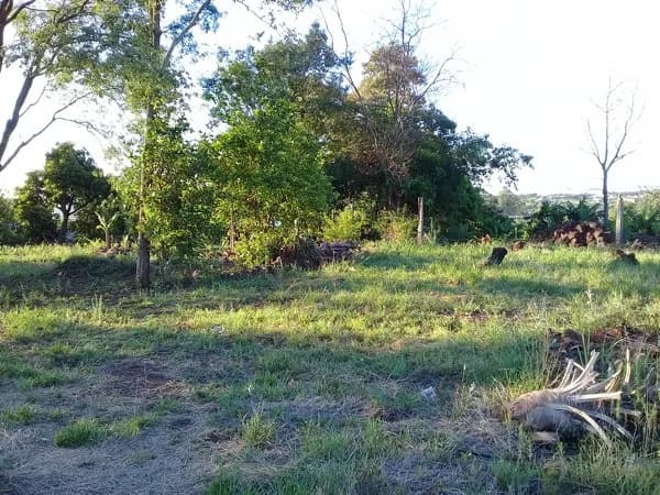 Lote en Piedras Blancas Garupá