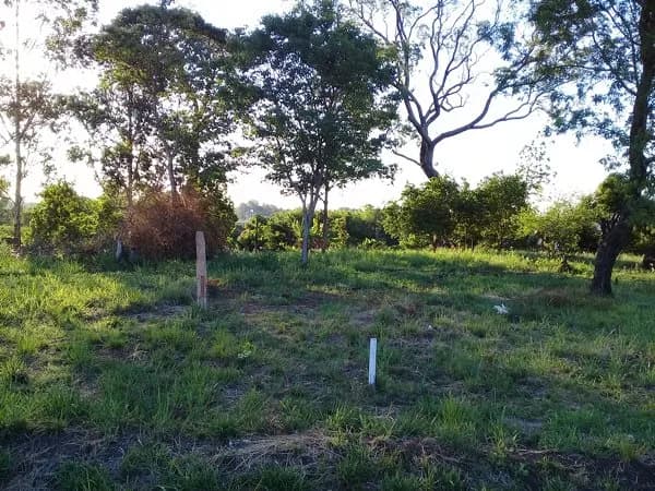 Garupa Loteo “Piedras Blancas” Lotes en Pesos