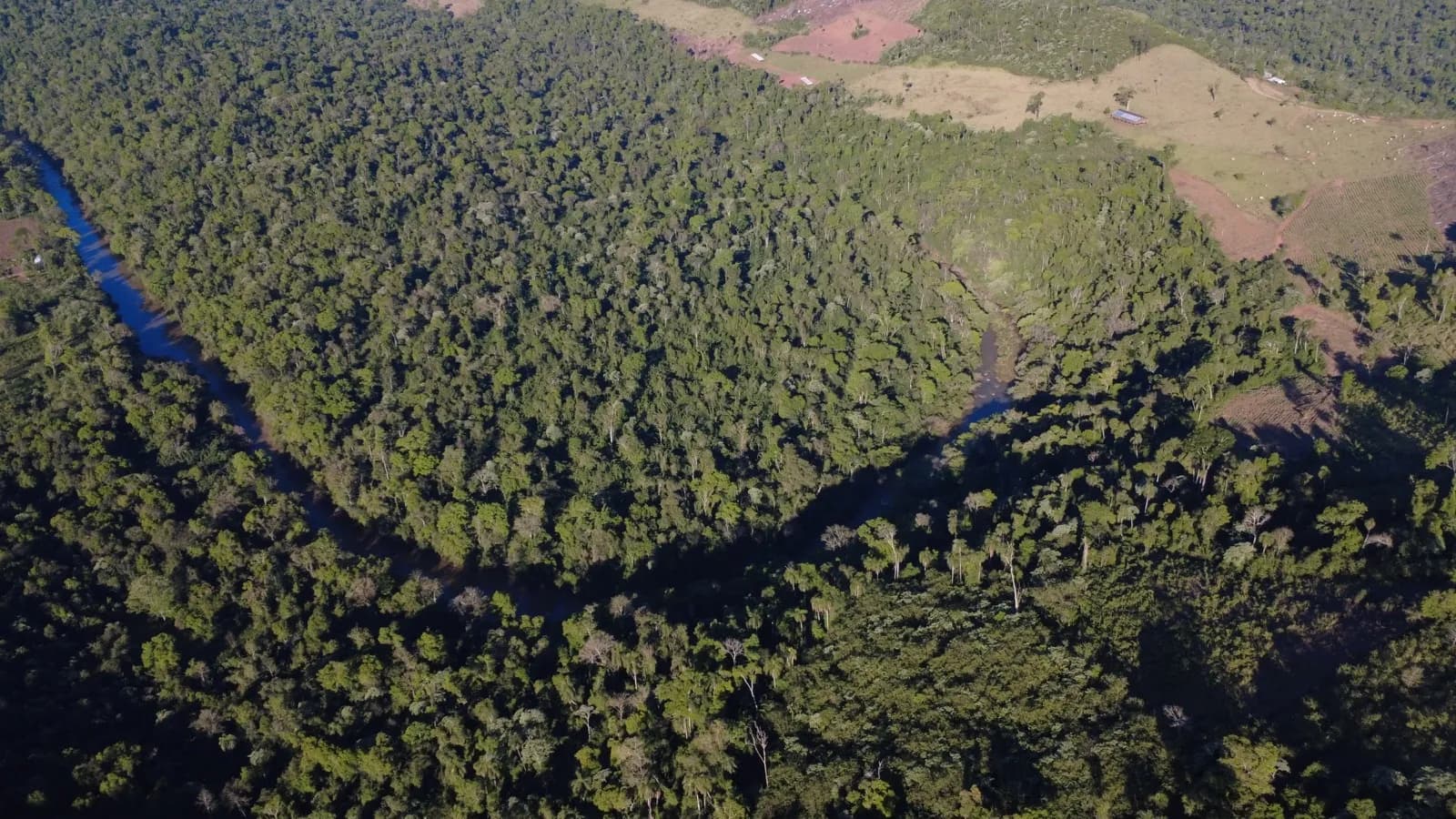 En Venta Chacra de 249 ha, Cercano a la Reserva Yaboty, El Soberbio, Misiones