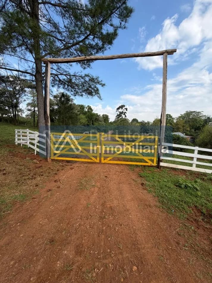 734 HECTAREAS PRODUCTIVAS EN VENTA: GANADERIA, PINO Y MONTE. SAN VICENTE, MISIONES