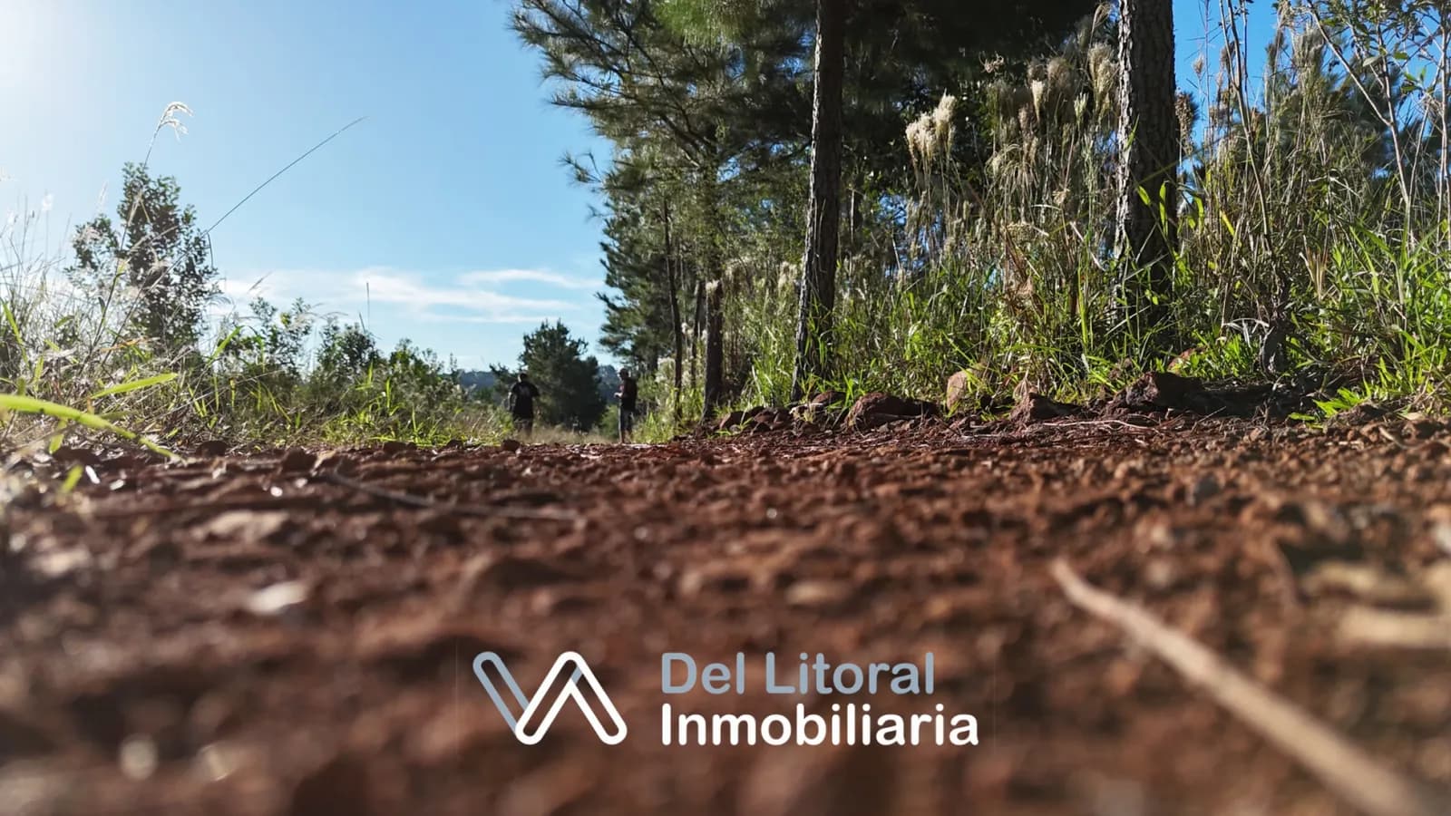 CHACRA 20 HA PROXIMO A RUTA PCIAL N° 13-SAN VICENTE, MNS- IDEAL PRODUCCION O GANADERIA