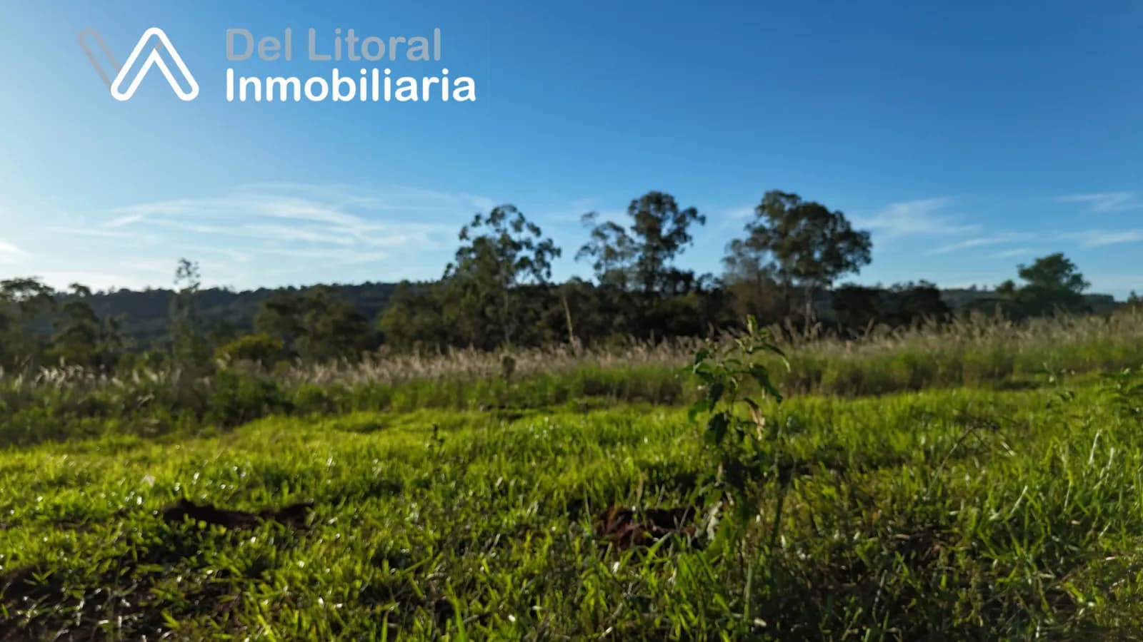 CHACRA 20 HA PROXIMO A RUTA PCIAL N° 13-SAN VICENTE, MNS- IDEAL PRODUCCION O GANADERIA