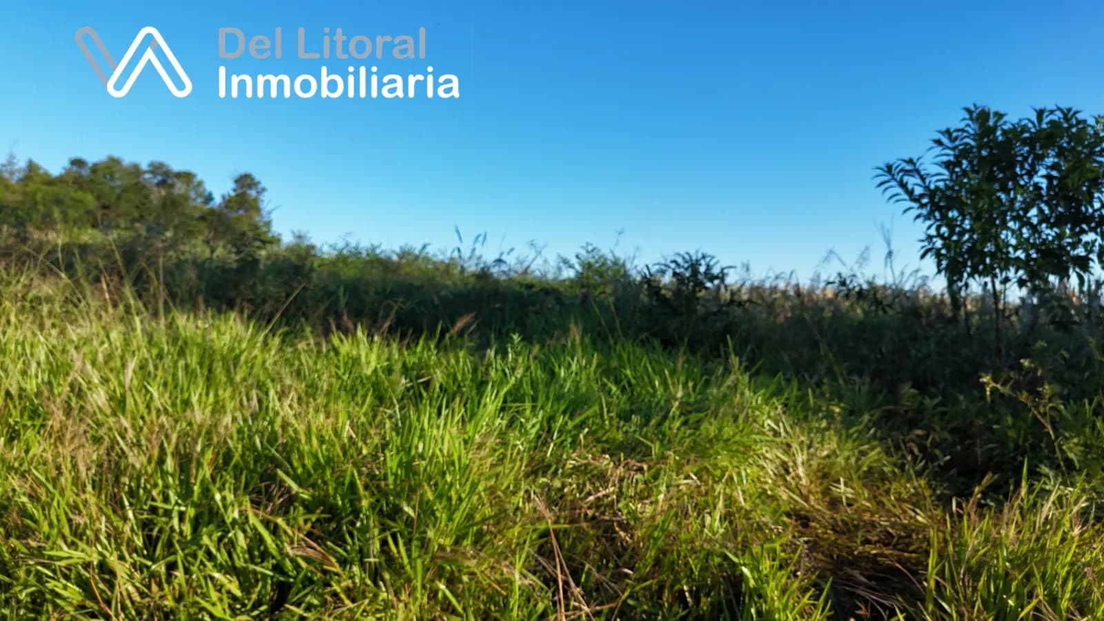 CHACRA 20 HA PROXIMO A RUTA PCIAL N° 13-SAN VICENTE, MNS- IDEAL PRODUCCION O GANADERIA