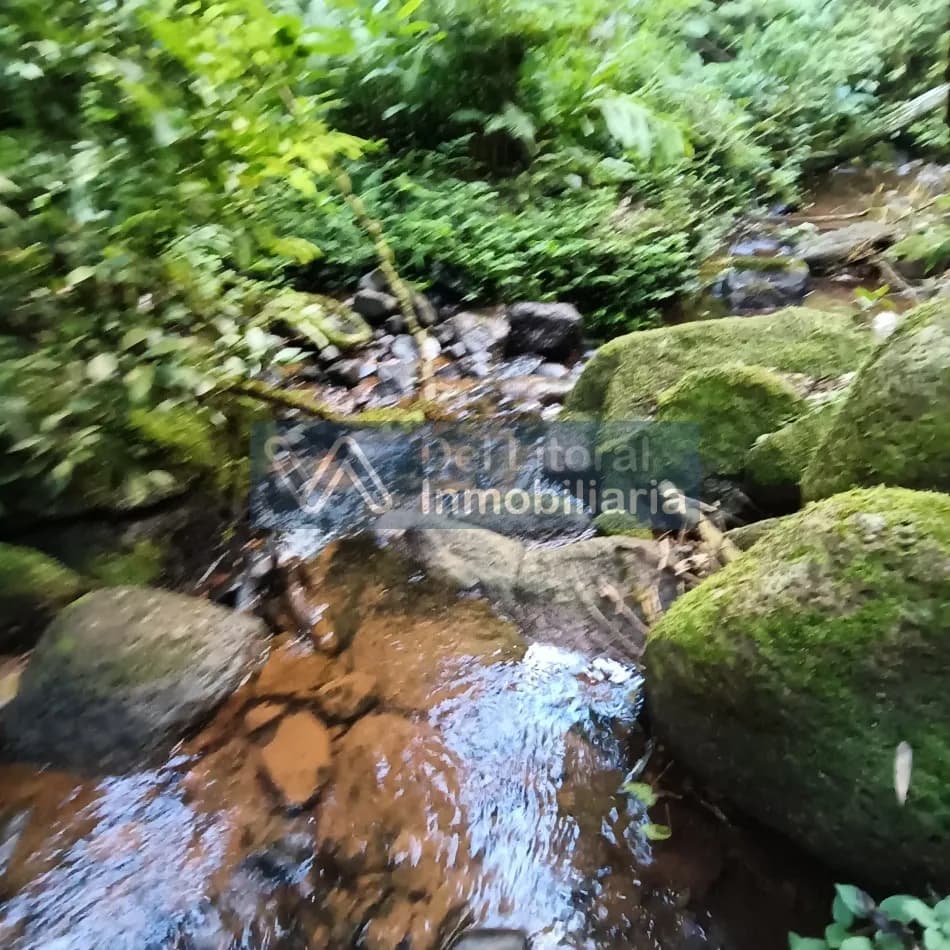 QUINTA EN VENTA