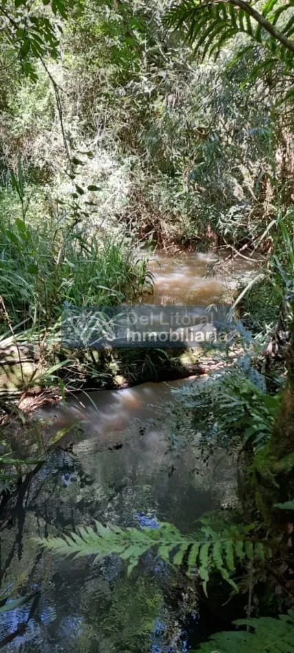 CHACRA DE 5HA CON ARROYO A SOLO 3KM DE RUTA NAC N°14-SAN VICENTE,MNS-