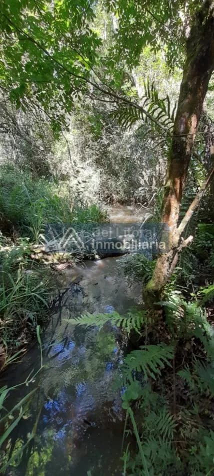 CHACRA DE 5HA CON ARROYO A SOLO 3KM DE RUTA NAC N°14-SAN VICENTE,MNS-