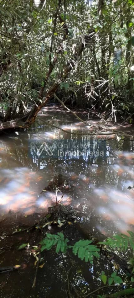 CHACRA DE 5HA CON ARROYO A SOLO 3KM DE RUTA NAC N°14-SAN VICENTE,MNS-