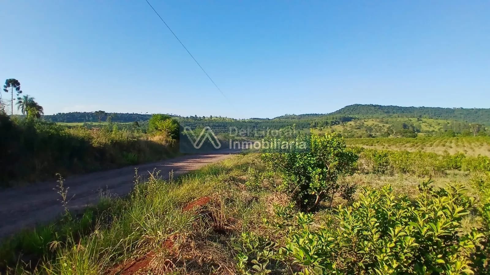 🌱 100 HECTAREAS PRODUCTIVAS SOBRE RUTA 212 - COLONIA SAN JORGE