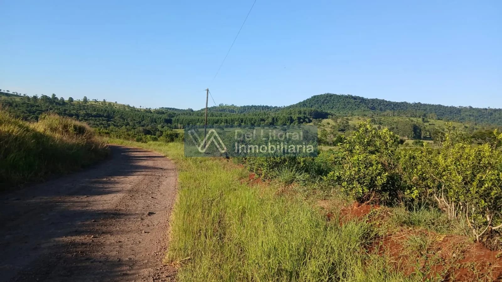 🌱 100 HECTAREAS PRODUCTIVAS SOBRE RUTA 212 - COLONIA SAN JORGE