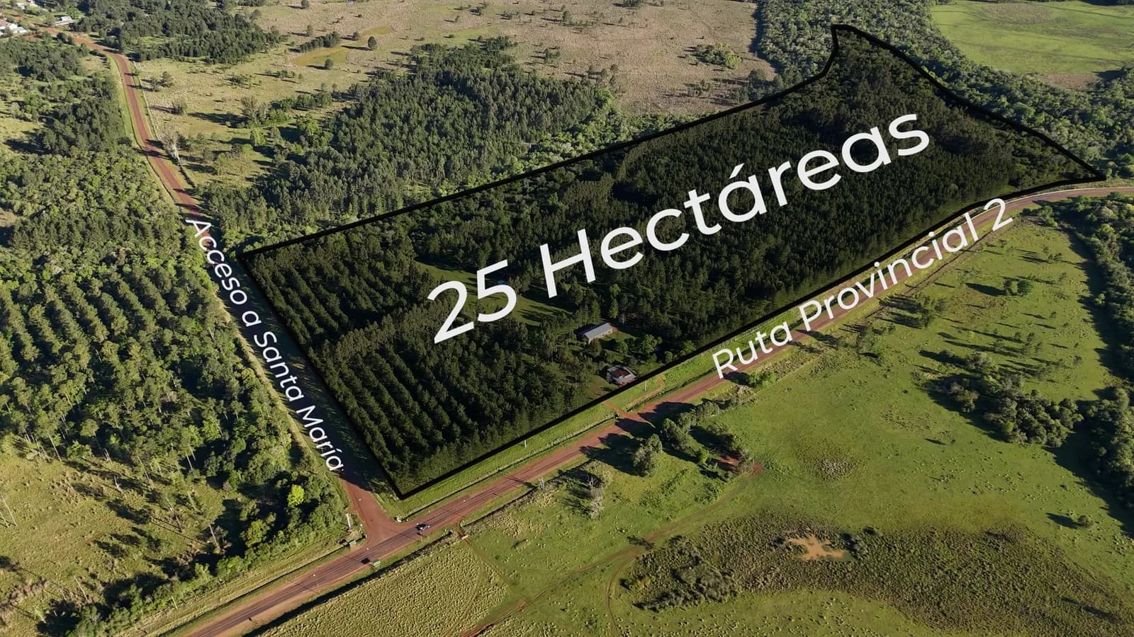 Terreno forestal de 25 hectáreas