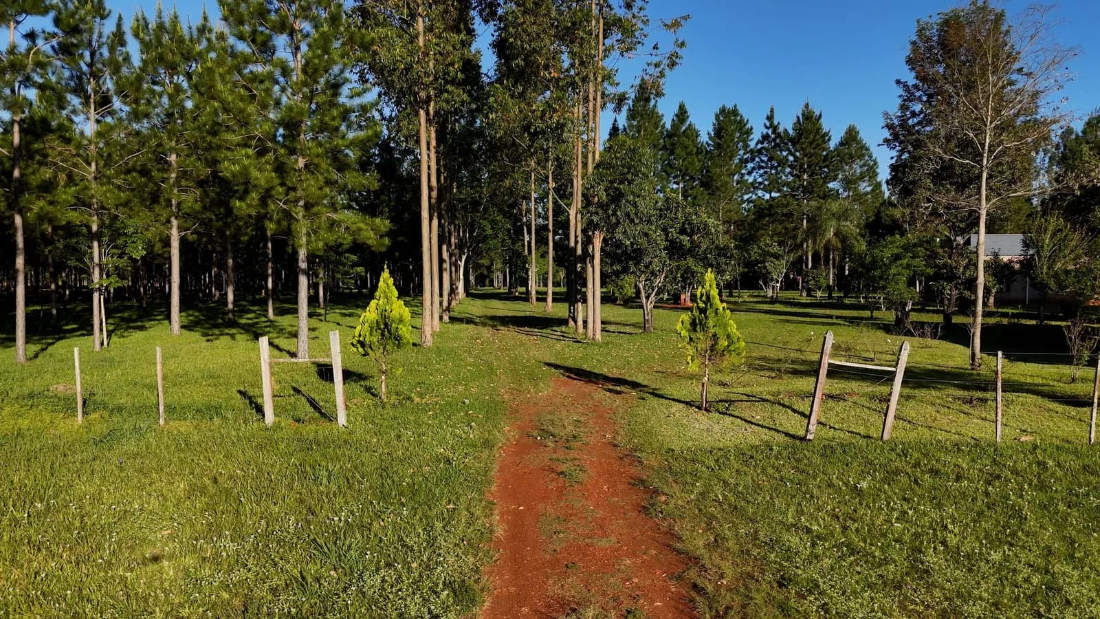 Amplio terreno arbolado con sendero