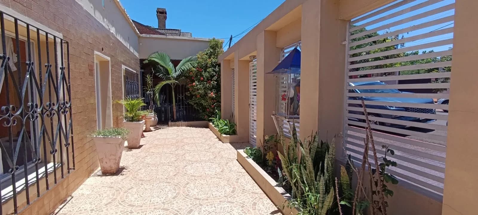 Patio de entrada con plantas