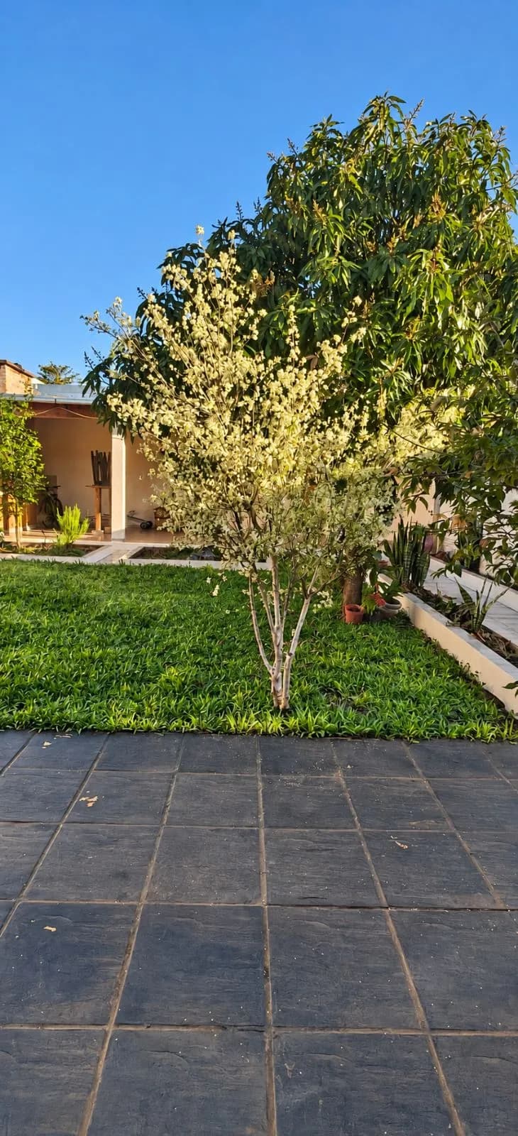 Casa - Posadas