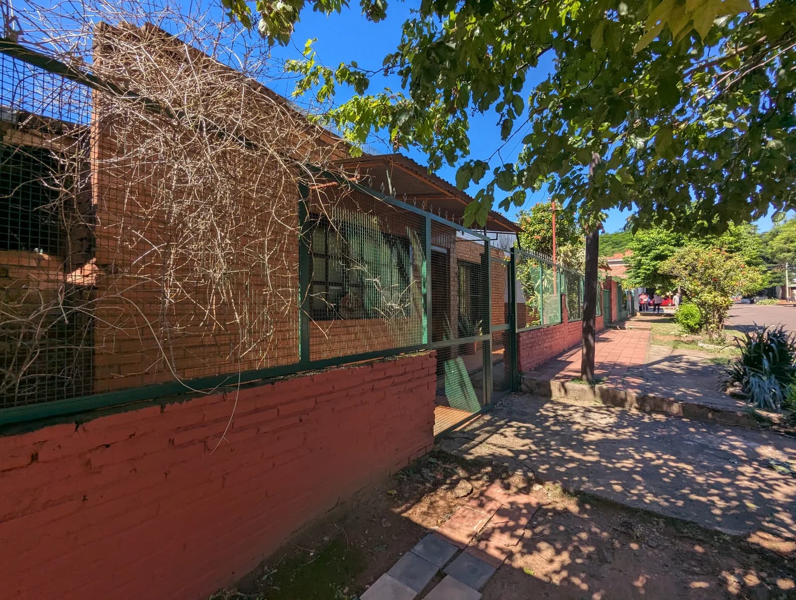 Casa de ladrillo con reja verde