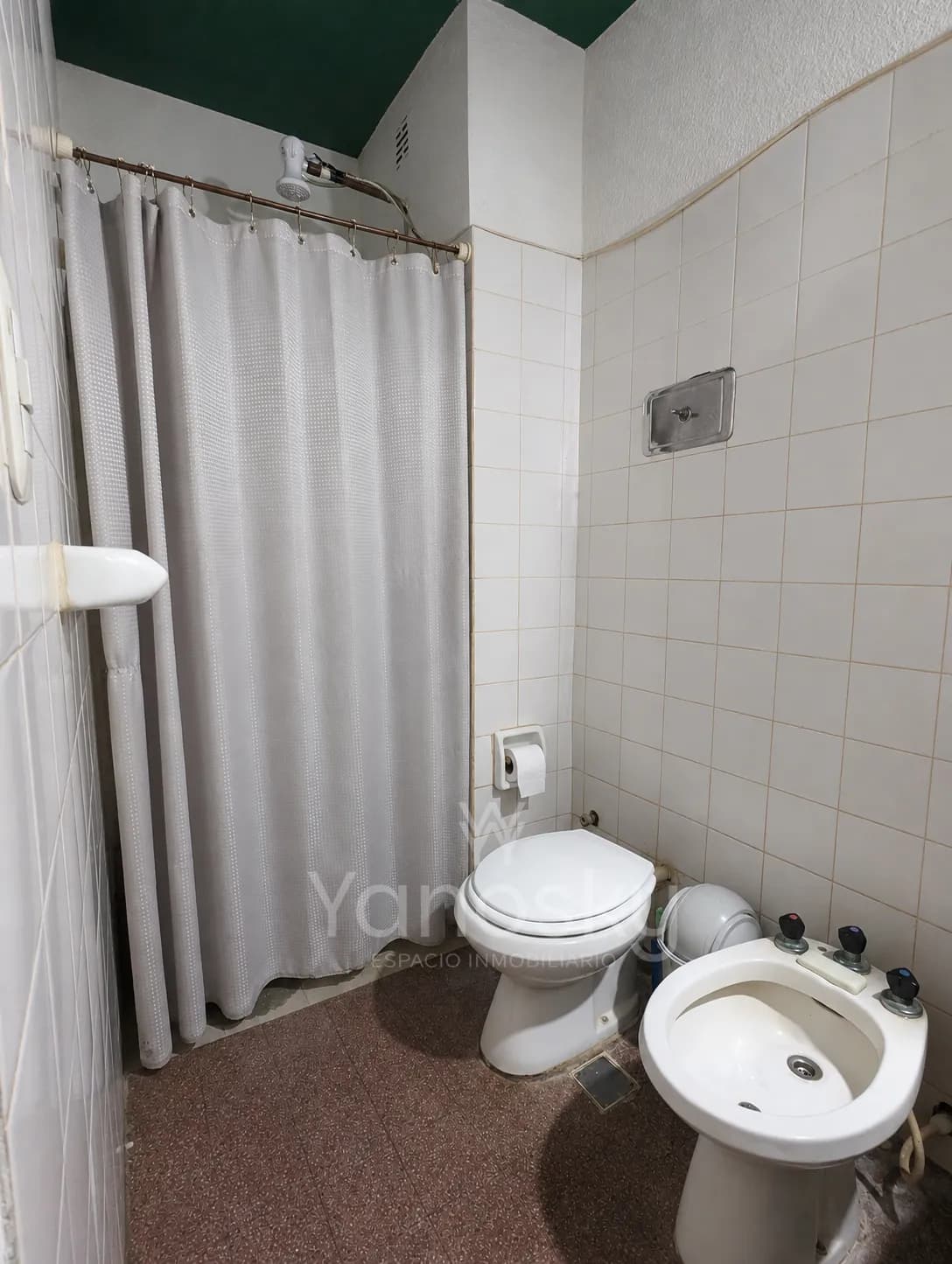 Baño completo con ducha y bidé