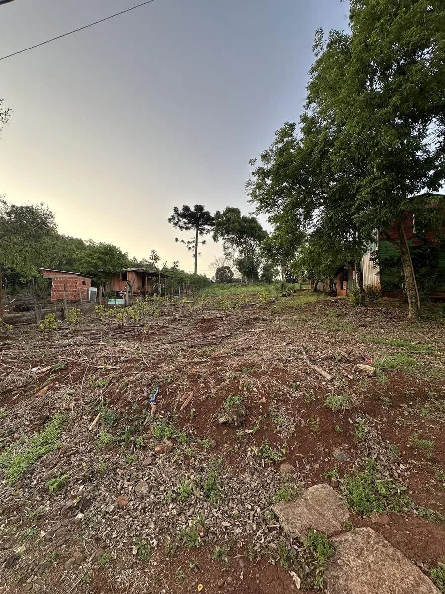 En Venta Propiedad Terreno de 12,5 m x 25m - San Pedro, Misiones