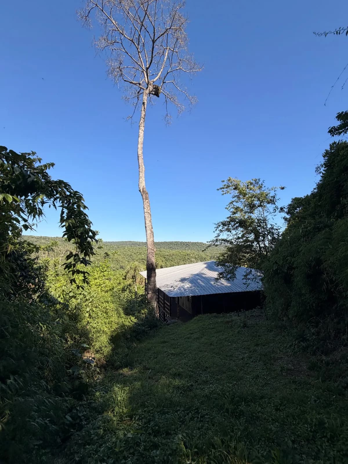 2 Hectáreas con frente al Río Uruguay y casa de madera, El Soberbio, Misiones