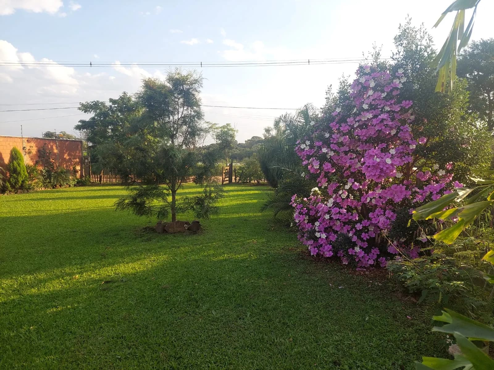 Amplio jardín verde con flores