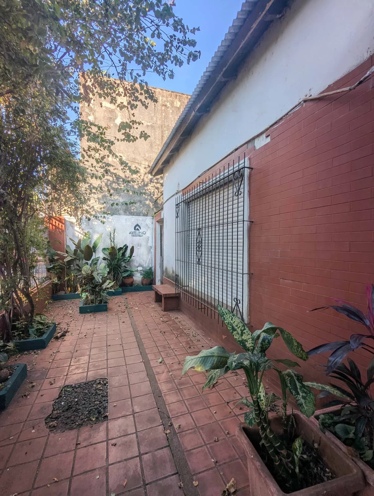 Patio exterior con plantas y baldosas