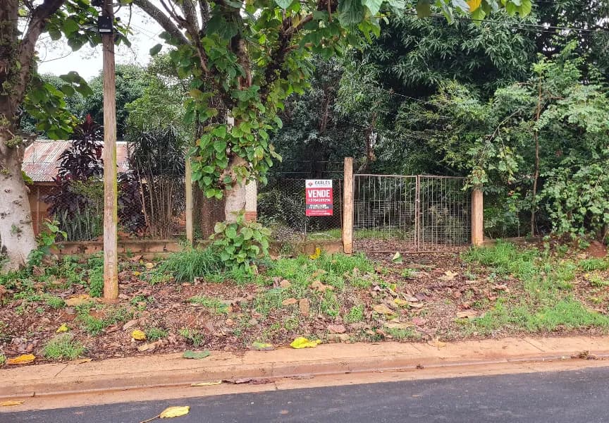 Hermoso Terreno sobre Av Zapiola