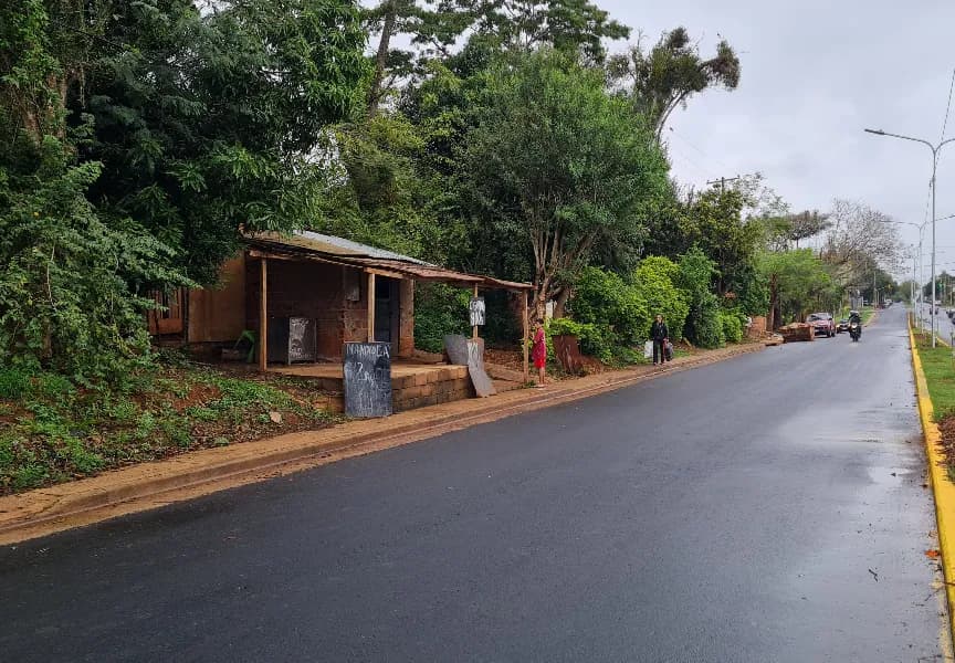 Hermoso Terreno sobre Av Zapiola