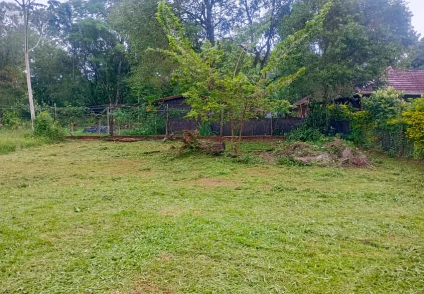 Terreno s/ Avda Bosetti casi Córdoba. Z/ costanera centro de Candelaria