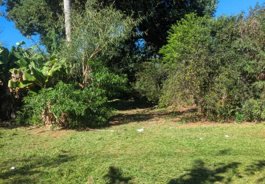 Hermoso y amplio terreno sobre avenida zona Garupa