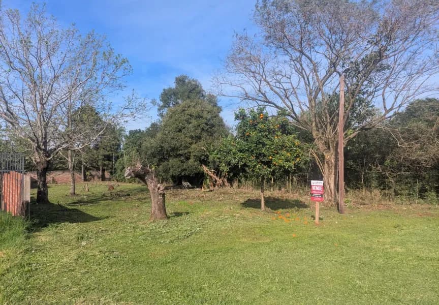 Lote de Importantes medidas en zona urbanizada