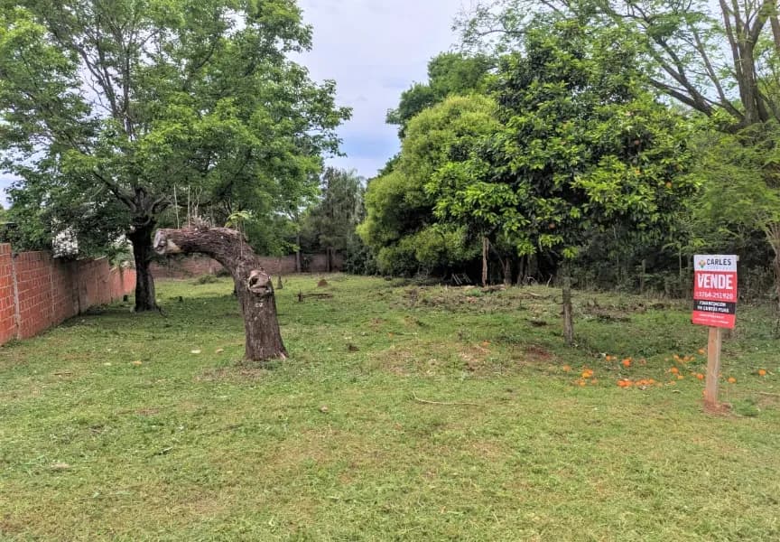 Lote de Importantes medidas en zona urbanizada