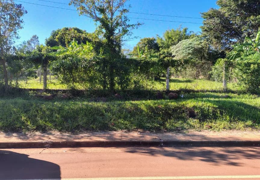 ¡IMPERDIBLES Y AMPLIOS LOTES SOBRE AVENIDA!