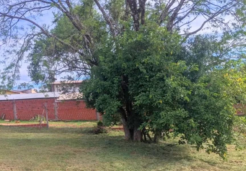 TERRENO EN ESQUINA IDEAL PARA VIVIENDA